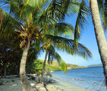 Rent a villa to vacation on St. Croix. Choose from a beach villa up to a private villa estate.